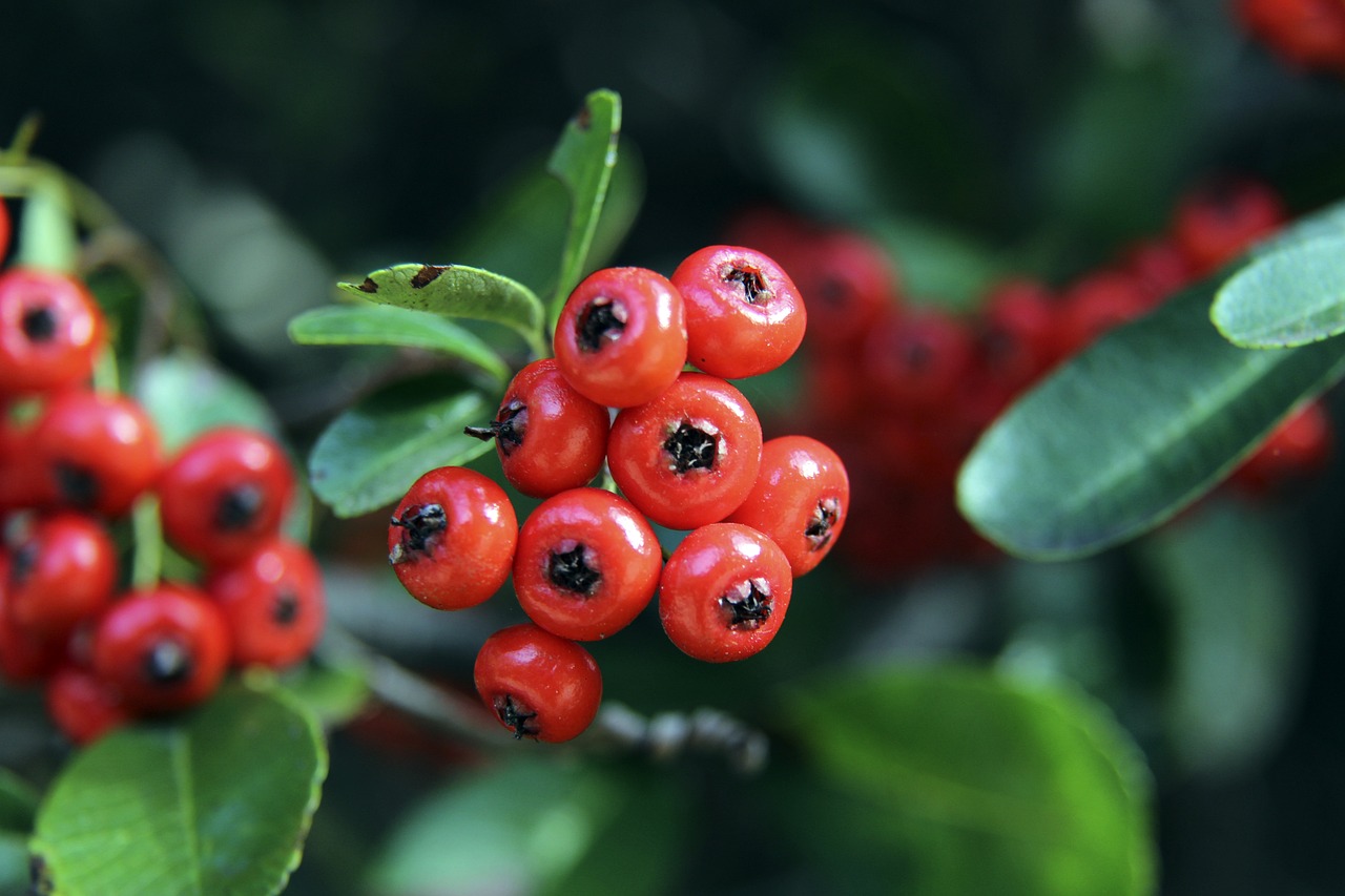 发了巨额债 发了巨额债