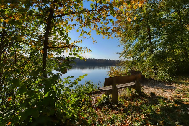 次呐喊助威 次呐喊助威