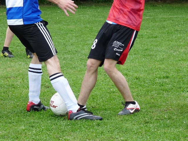 的职业转型 的职业转型